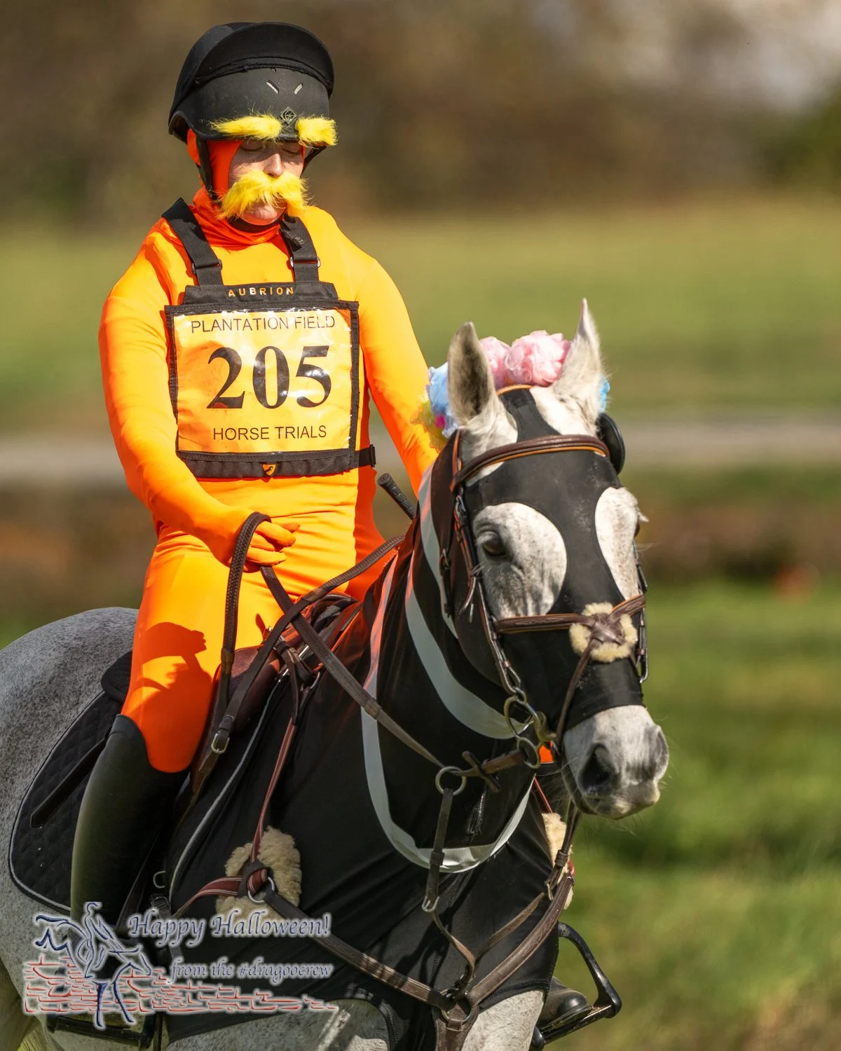 Speak for the trees.
Plantation Field Horse Trials 
#happyhalloween🎃