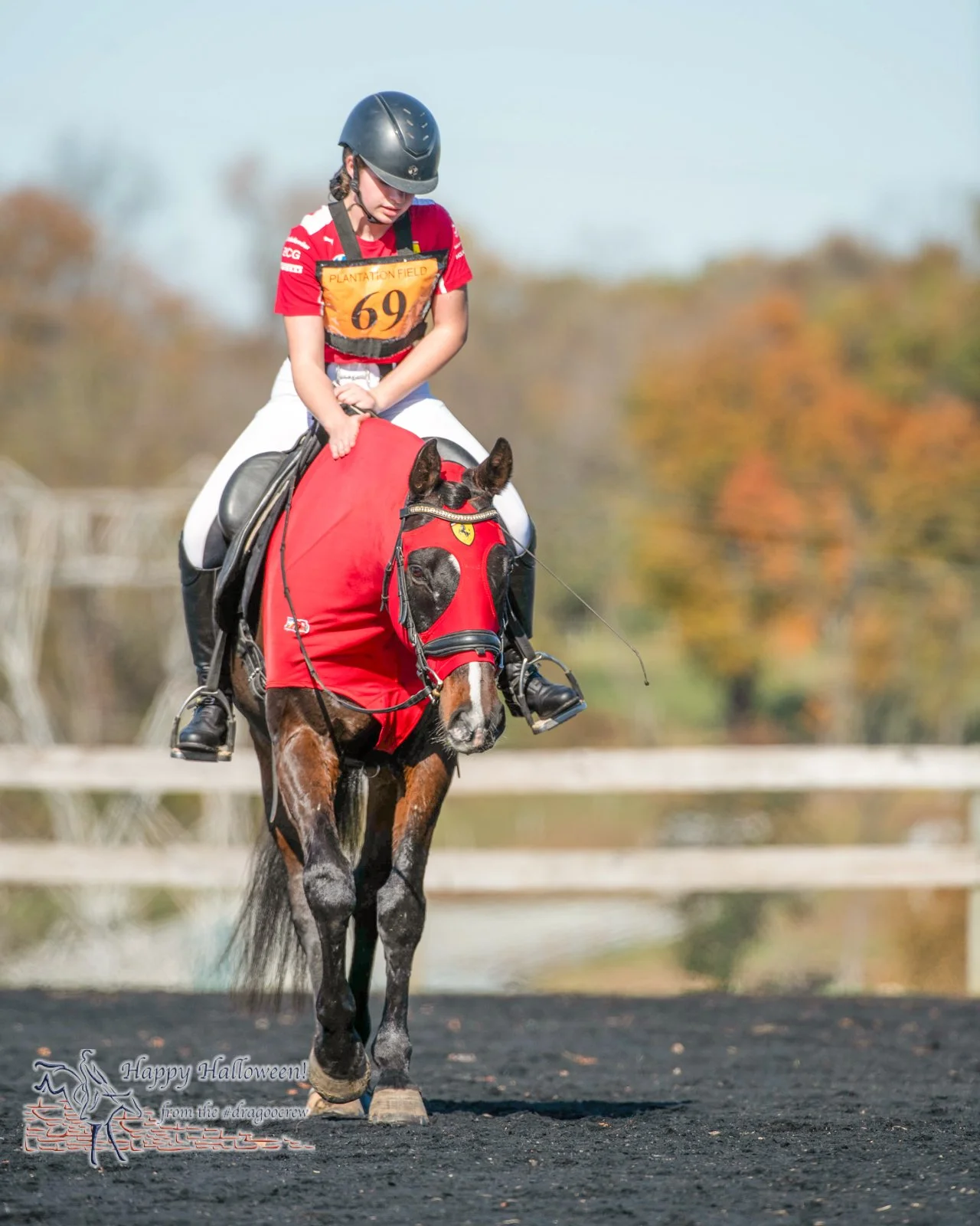 German horse power.
Plantation Field Horse Trials 
#happyhalloween🎃
