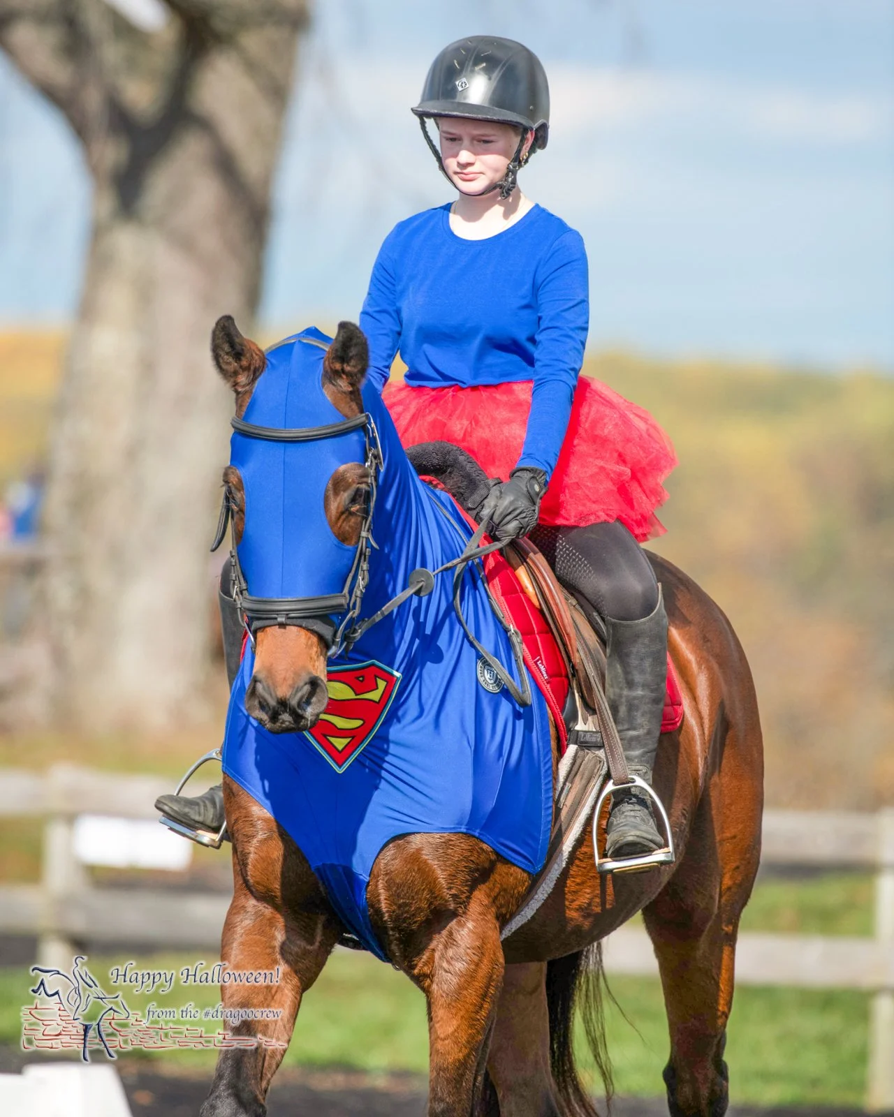Classic superhero.
Plantation Field Horse Trials 
#happyhalloween🎃