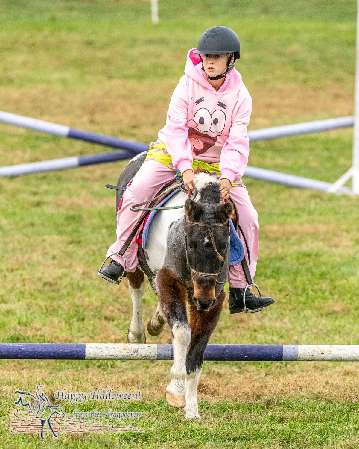 Celebrity visit from a pineapple under the sea. @pPlantation Field Horse Trials 
#betterlatethannever 
#happyhalloween🎃