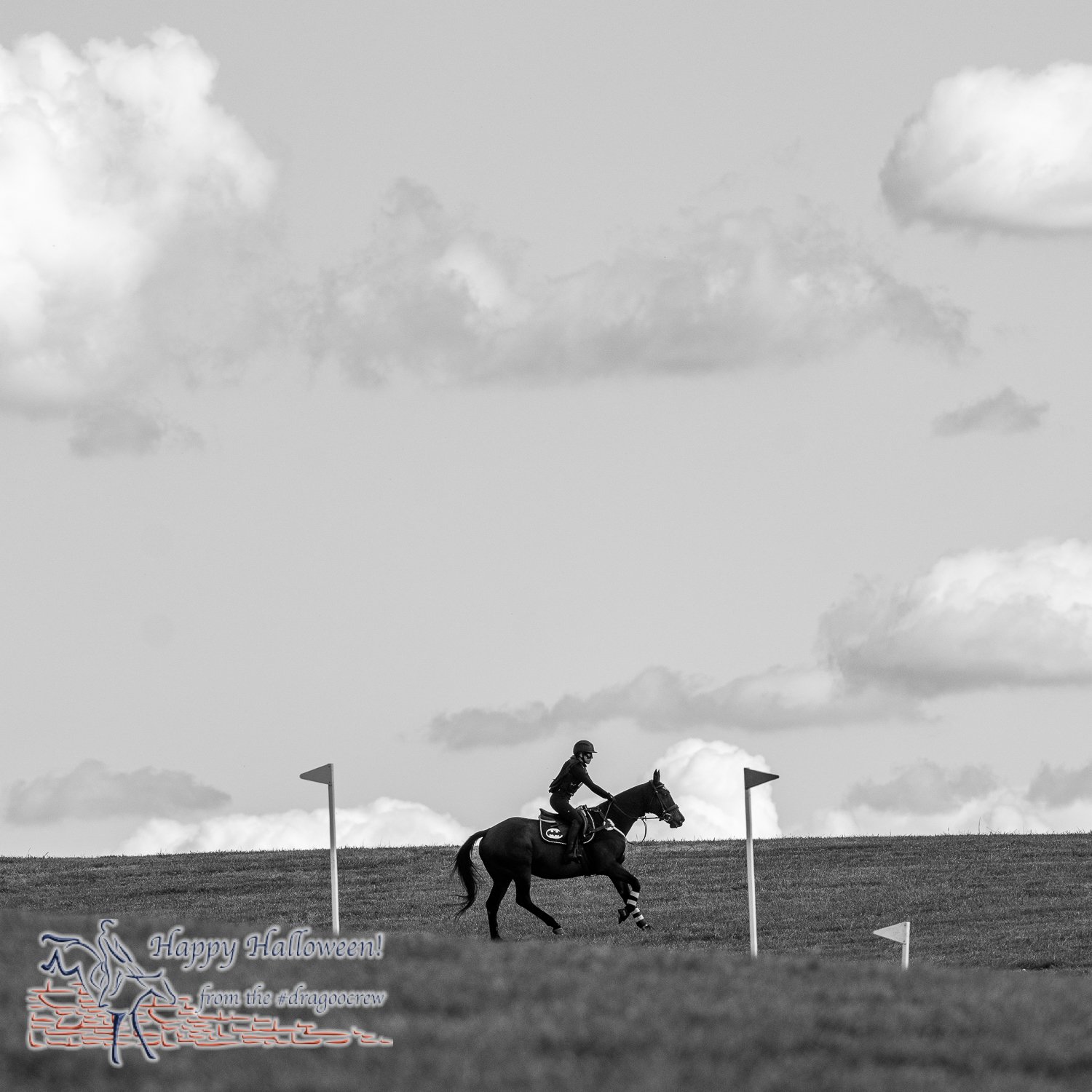 Heros united. 
#happyhalloween🎃 
Plantation Field Horse Trials