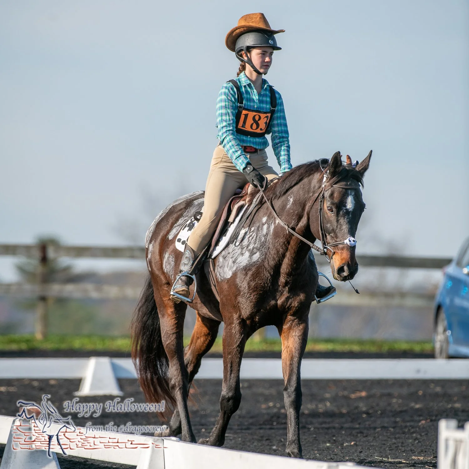 Our cows and their wranglers.
#happyhalloween 
Plantation Field Horse Trials