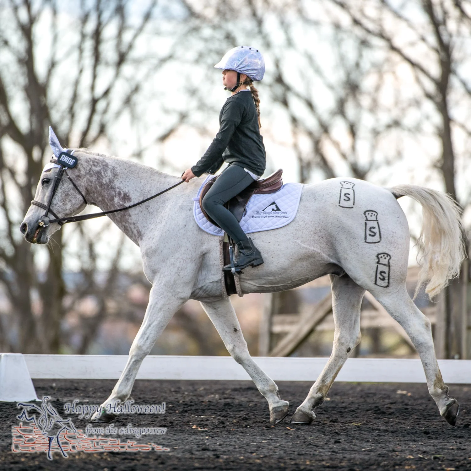 What's in a name? Sergeant Pepper becomes salt and pepper.
#happyhalloween🎃 
Plantation Field Horse Trials
