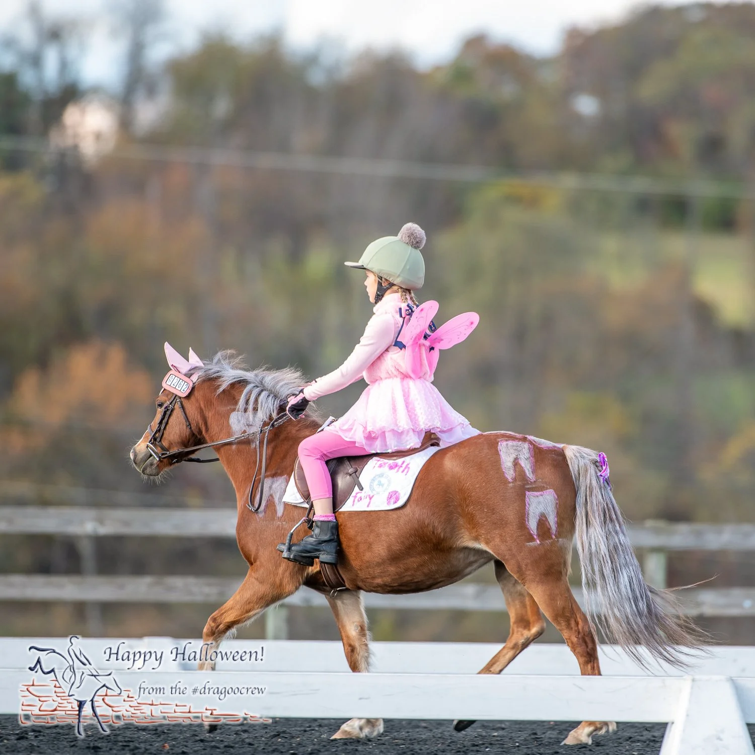 The Tooth Fairy is too sweet.
#happyhalloween🎃 
Plantation Field Horse Trials