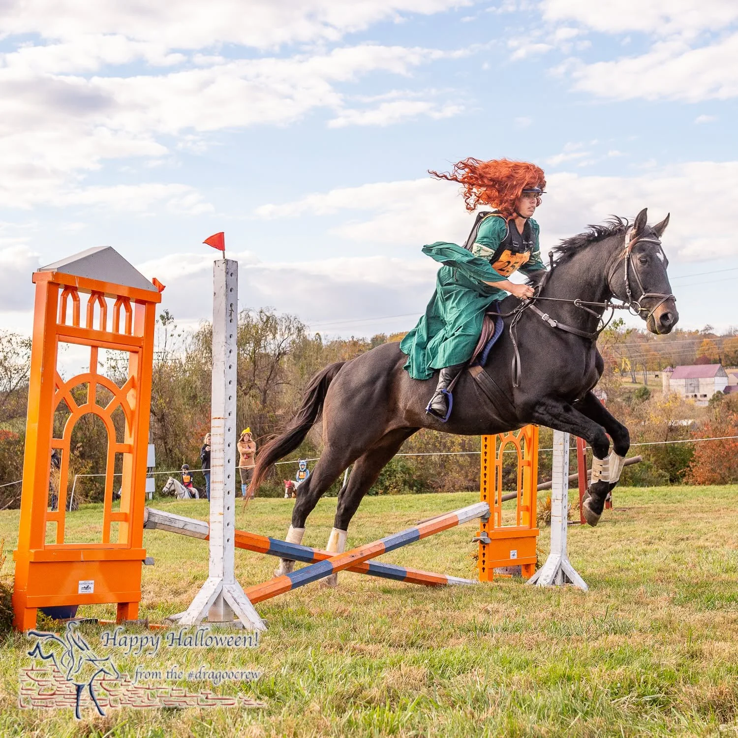 Disney was well represented. Can you pick out the characters?
#happyhalloween🎃 
Plantation Field Horse Trials