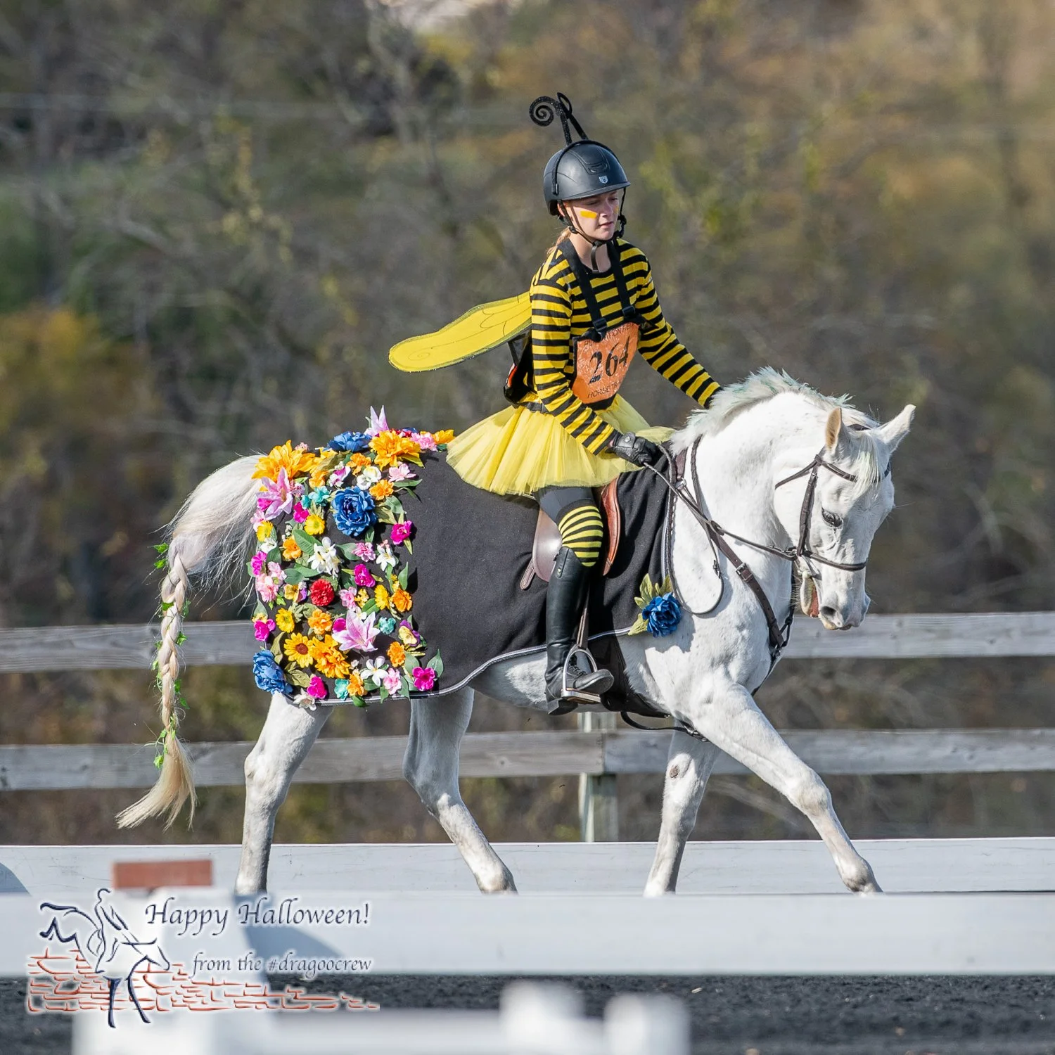 All the buzz was about this turnout.
Plantation Field Horse Trials 
#happyhalloween🎃