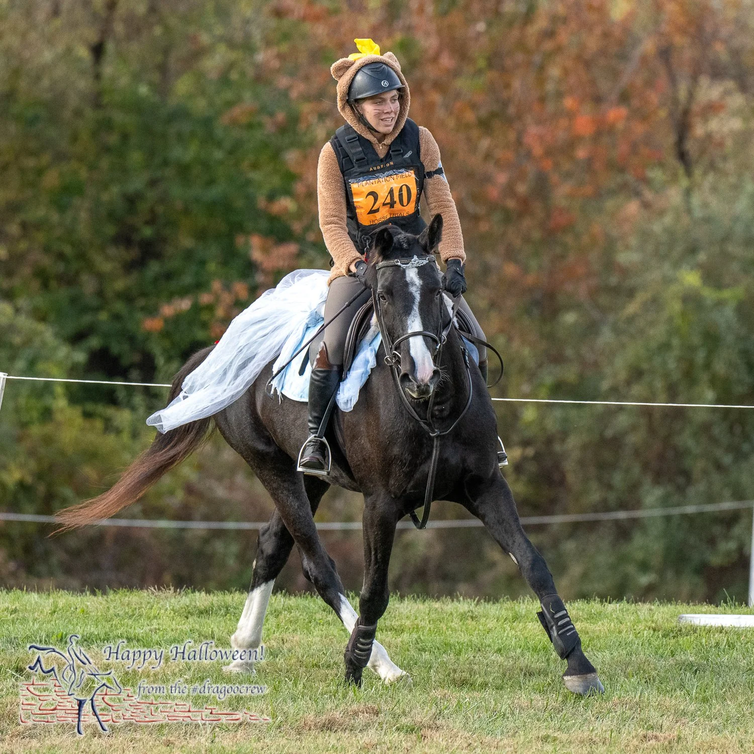 Fancy steps in a fancy dress.
Plantation Field Horse Trials 
#happyhalloween🎃