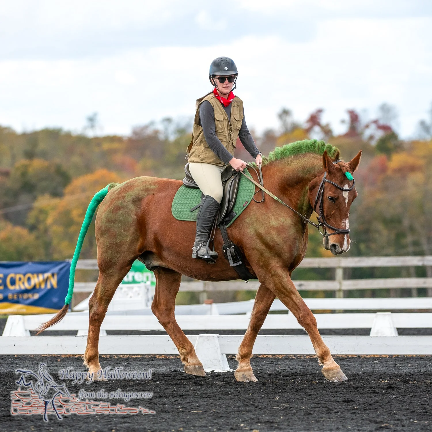 Jurassic Park came to Unionville.
Plantation Field Horse Trials 
#happyhalloween🎃