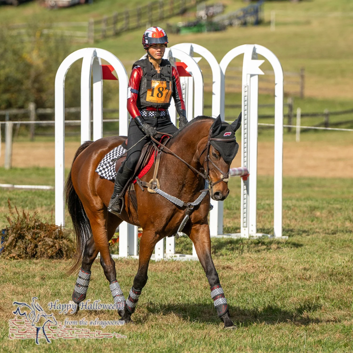 F1 checkers.
Plantation Field Horse Trials 
#happyhalloween