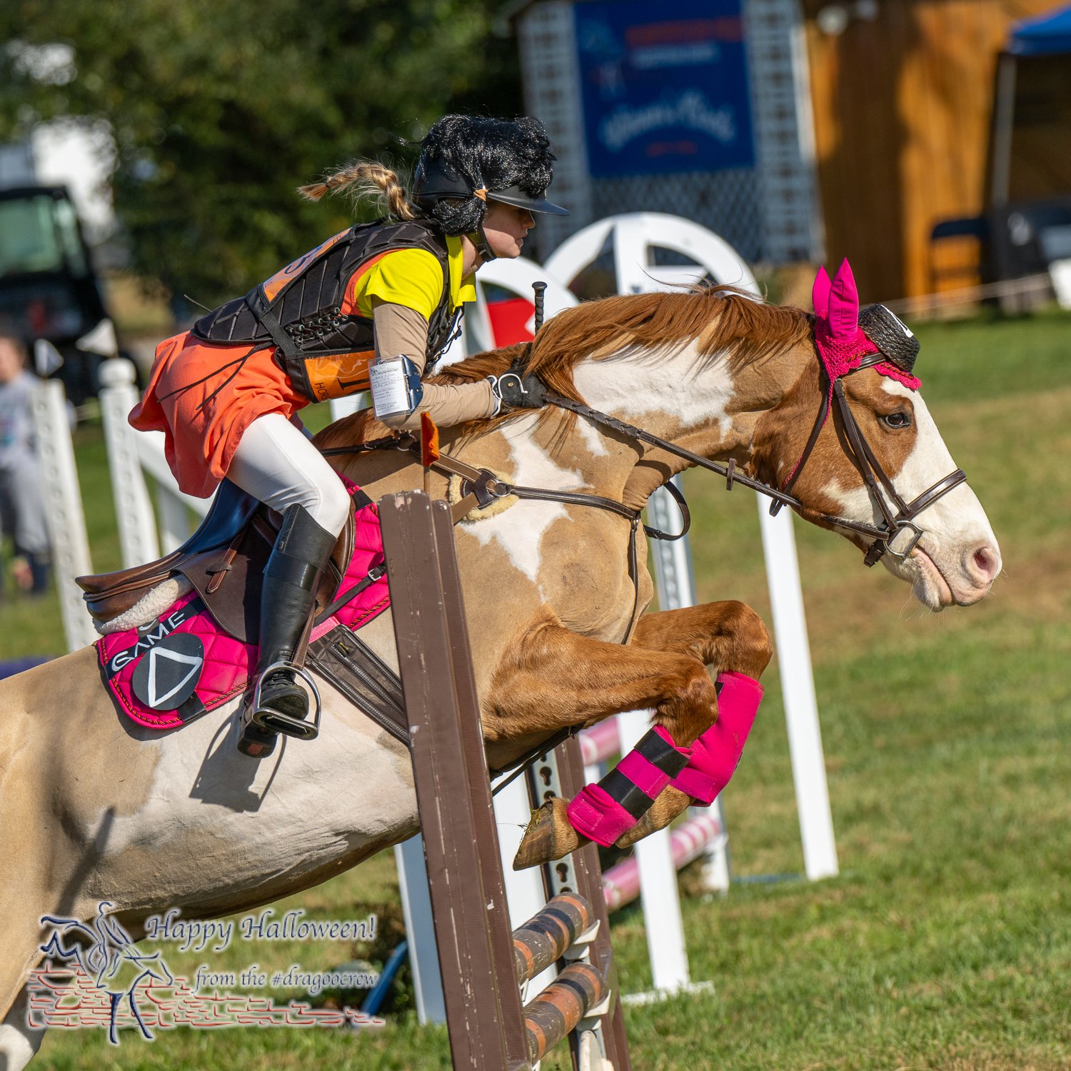 Pop-culture characters from many generations
Plantation Field Horse Trials 
#happyhalloween🎃