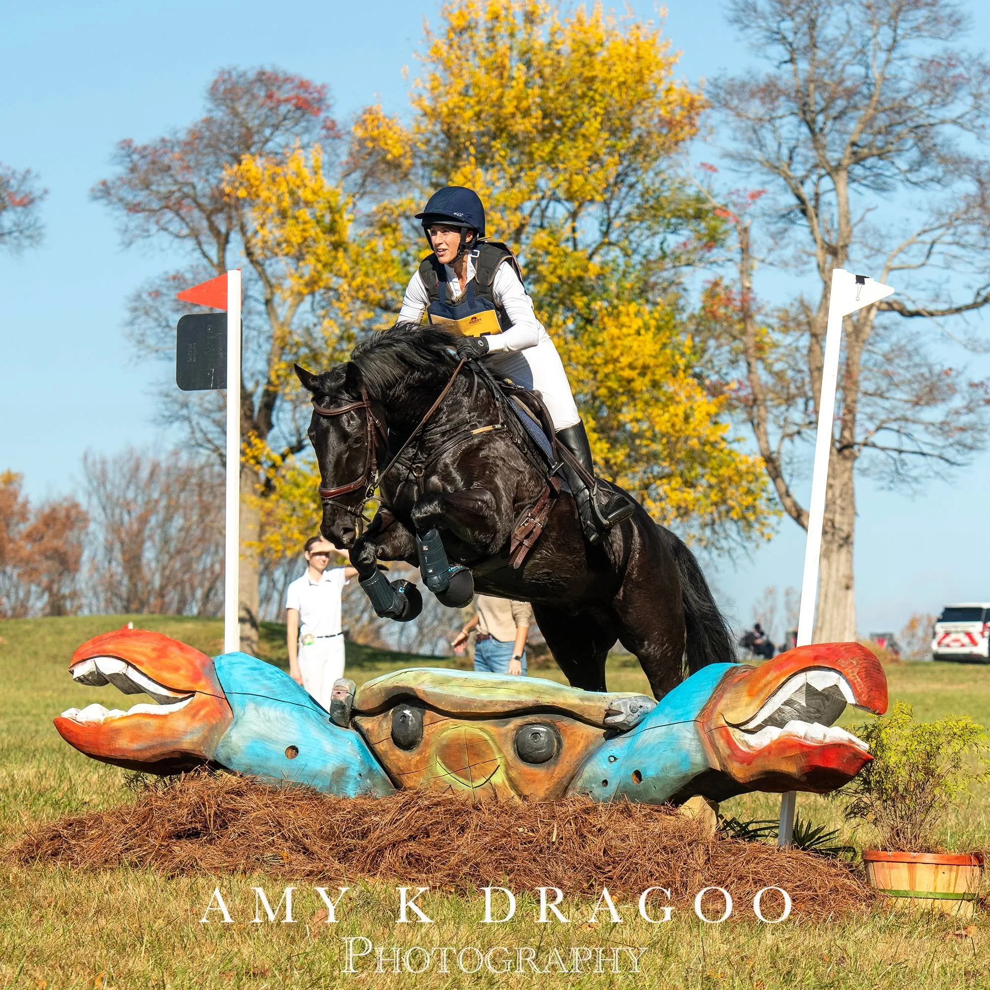 The final Fair Hill International starter trial of 2025 had a celebrity sighting! One of the original MARS Maryland 5 Star at Fair Hill p/b Brown Advisory crabs, who is destined for retirement, became the final fence on the training/novice courses.
C