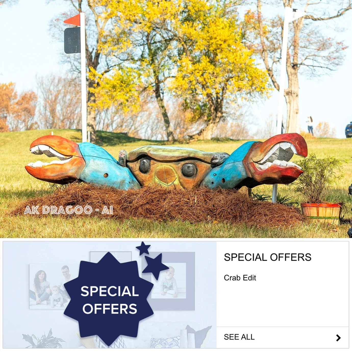 Interested in getting yourself rendered over the @fairhillint crab? Add the "CRAB EDIT" option to your order.