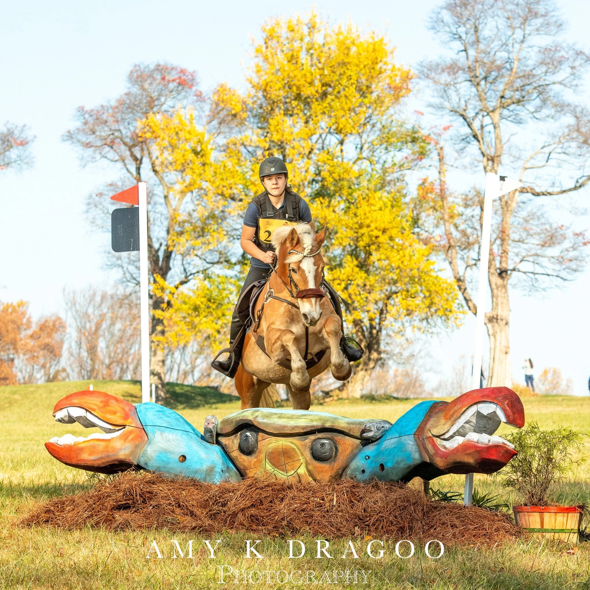 Was the @fairhillint crab not on your course? Did you choose not to jump it? Not to worry, the miracle of technology can make that happen!
Just add the "CRAB EDIT" to your order, and we can make it happen! Available for prints or digital.

