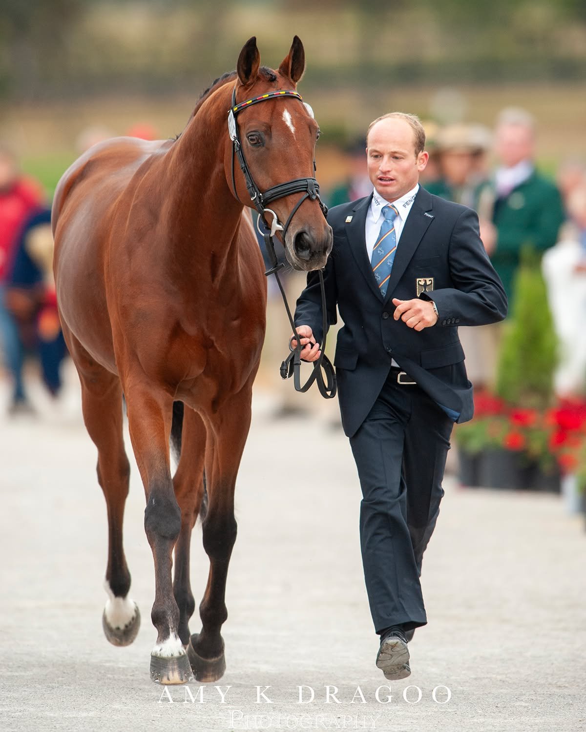 #RIP Sam. As graceful and athletic as he was, his liquid eye was what stuck with me over the years. Thank you for the memories @michaeljungofficialnews