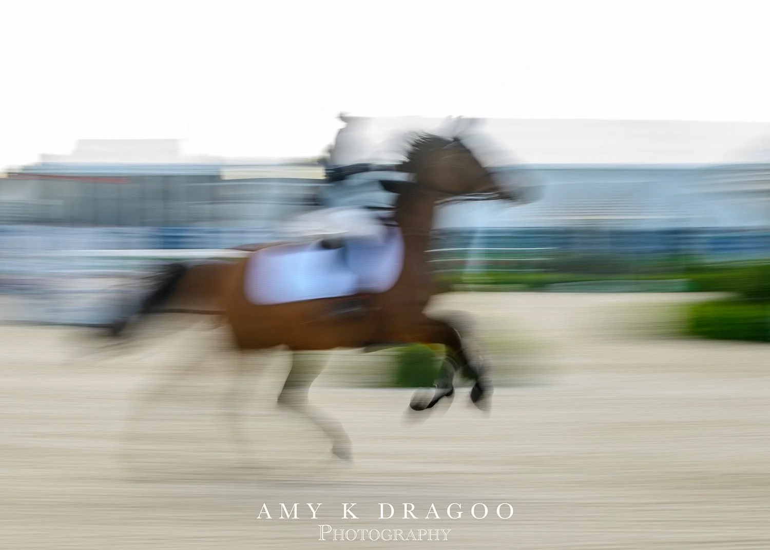 Starting the year off with a change of pace. Slow is fast and fast is slow. 

@wellingtoninternational_wef