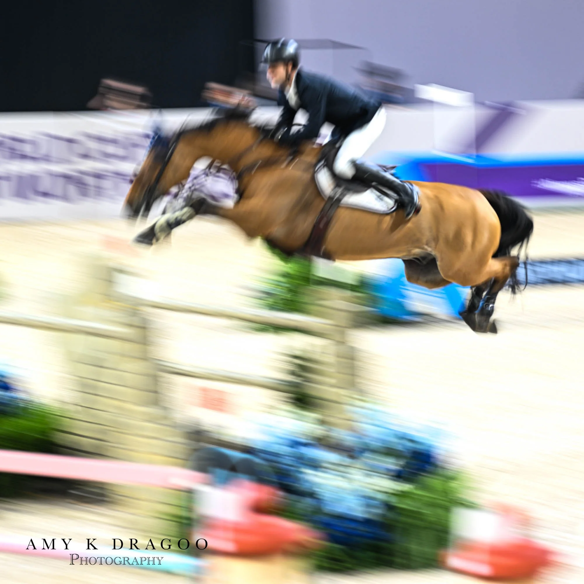 Cleared for takeoff.

@longines 

#FEI World Cup  Finals 2026 Fort Worth #showjumping #shutterdrag