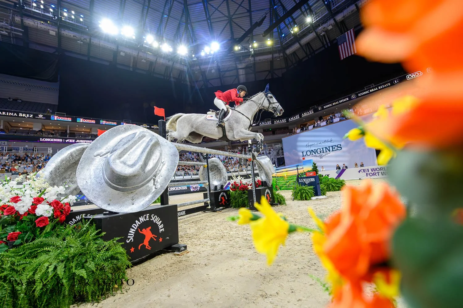 Images of the rounds of the top three finishers from the final remote of the FEI World Cup Finals.

This is why I have always said - Remotes are never the cake. They are the cherry on top of the whipped cream, on top of the frosting, on top of the ca