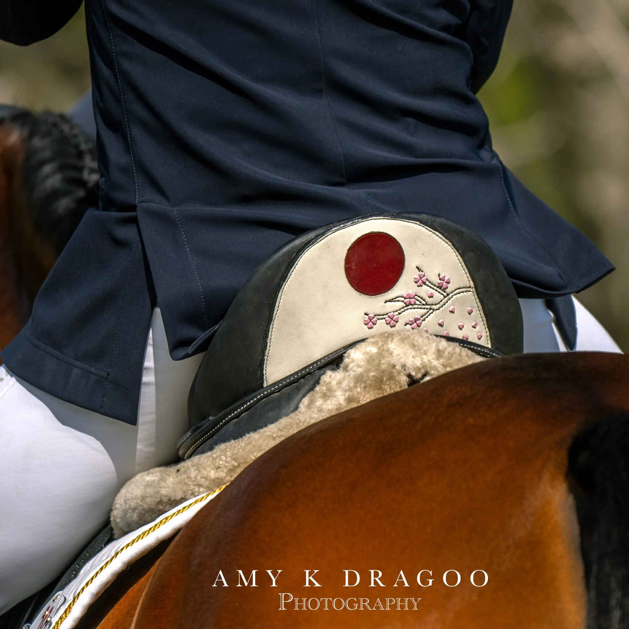Beauty is in the details.

@fairhillint @kenta_usa_life_eventing 
#eventing #dressage