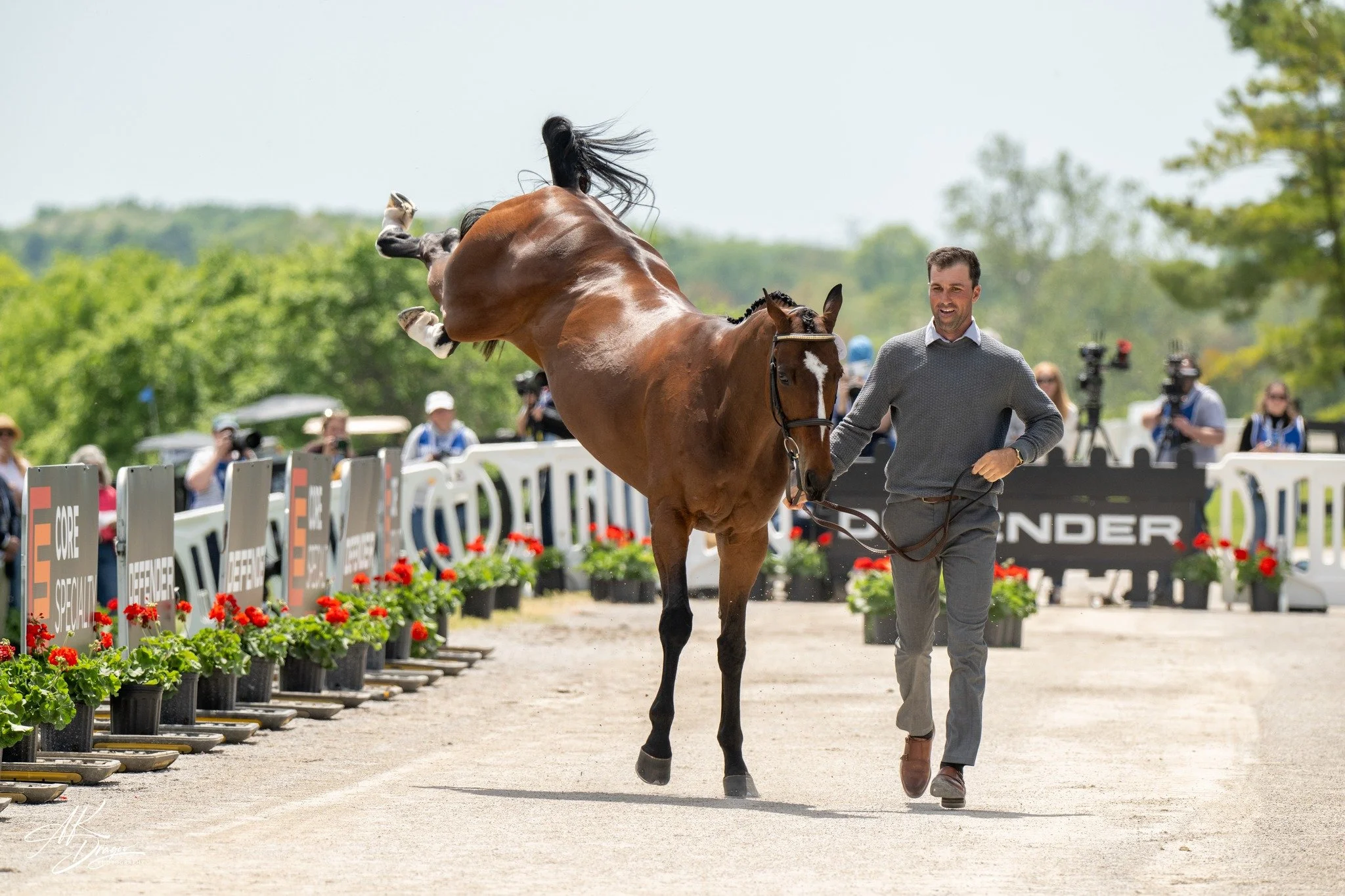 @kentuckythreedayevent kicked off with the first horse inspection. Alex Conrad's Malibu Preacher is always extra.

#eventing
