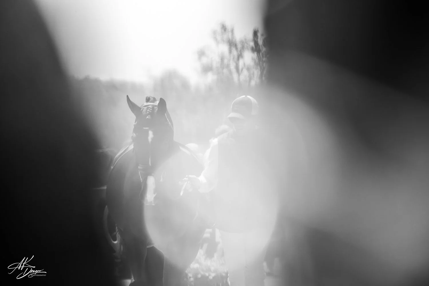 I'm doing a deep dive into the team's images from the @kentuckythreedayevent, and discovered the two riders I got lens flare with in the Wednesday jog happen to be the two who finished 1st and 2nd on Sunday.