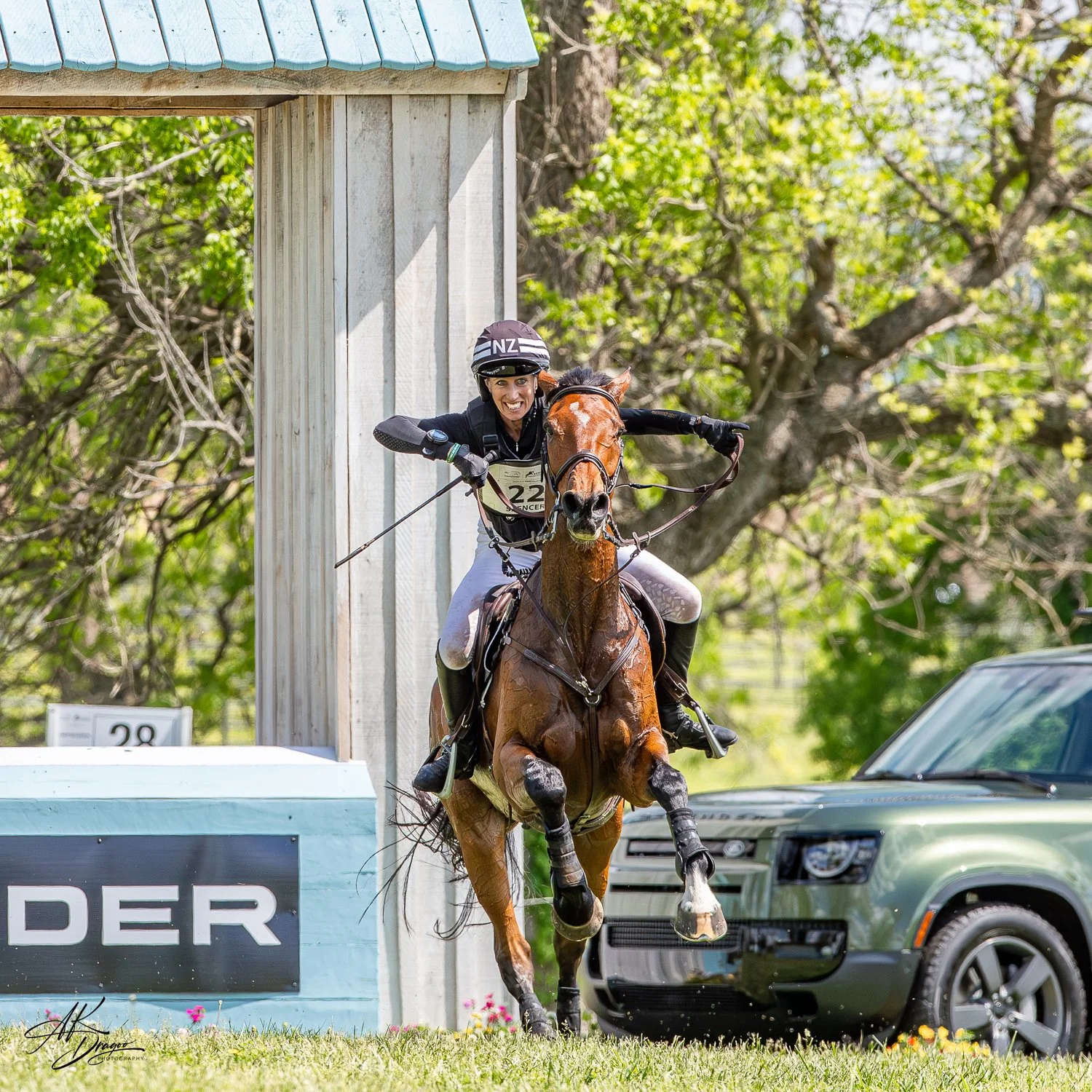 Fierce five star finish faces. 📸 @kristin.leigh.richards

@kentuckythreedayevent Defender Kentucky Three-Day Event 

Ah the algorithms ....Link ⬇