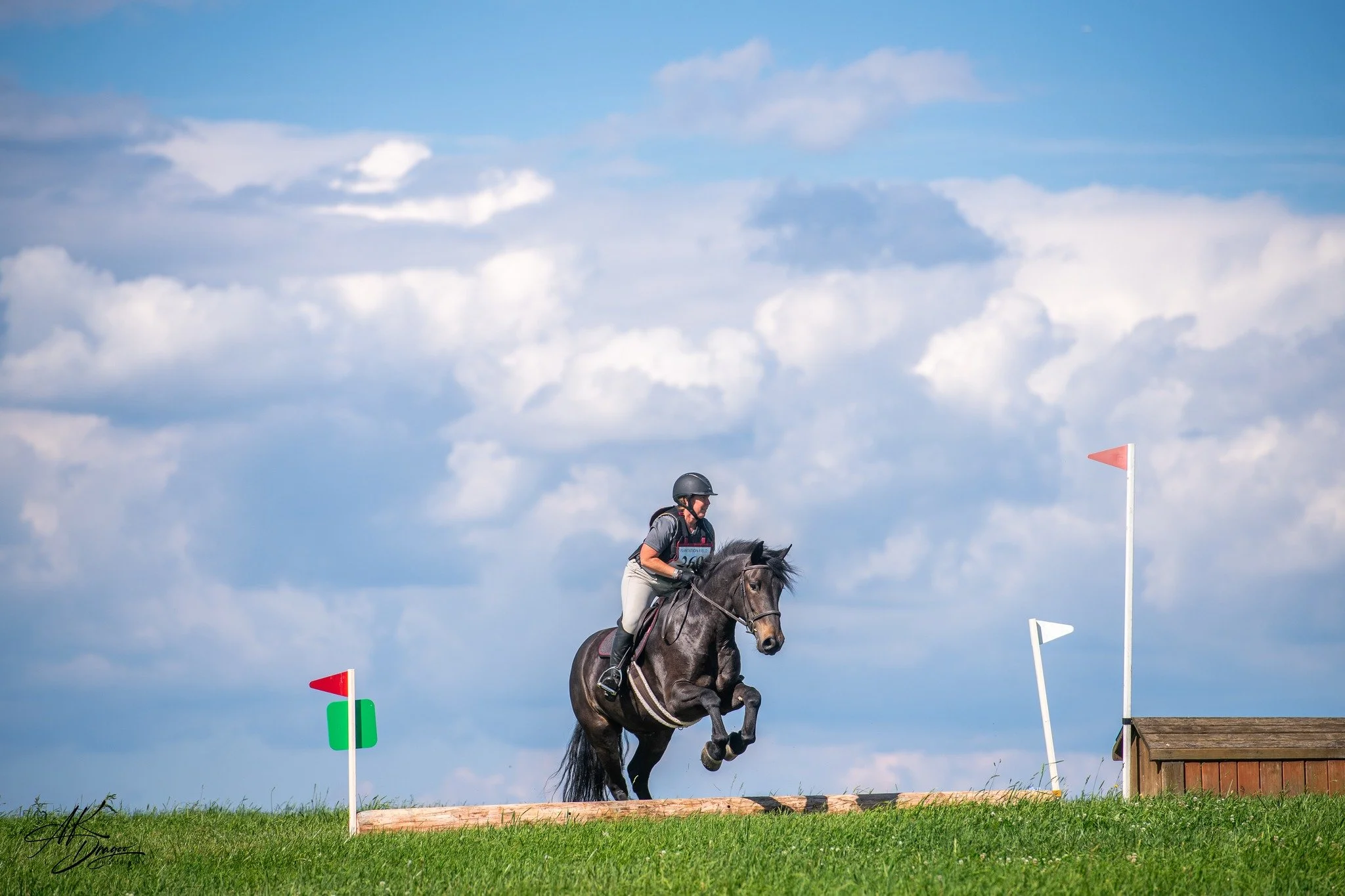 Mother Nature was a bit showy for show day at @plantationfield 
Link for proof galleries ⬇