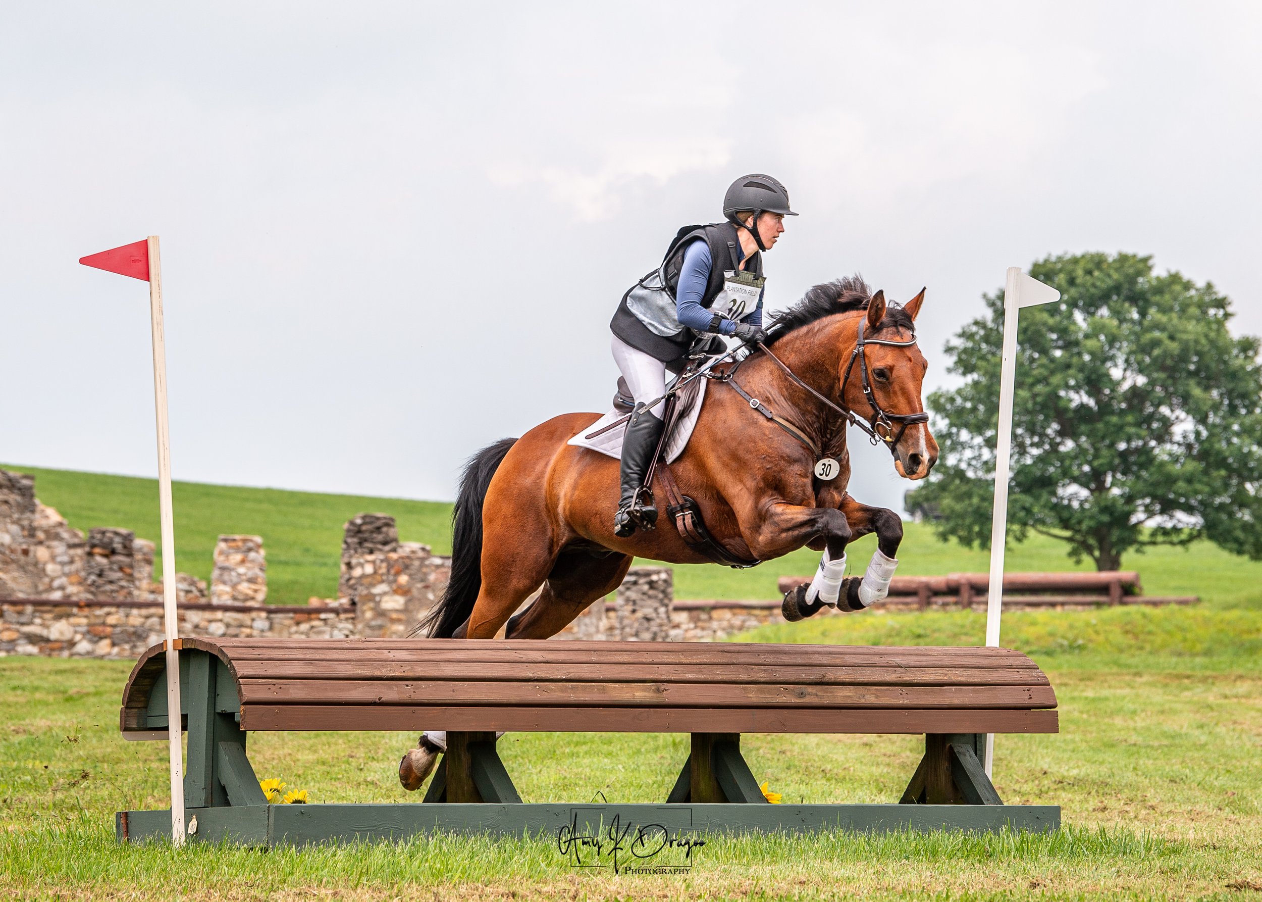 2025 & Prior Equine Sport