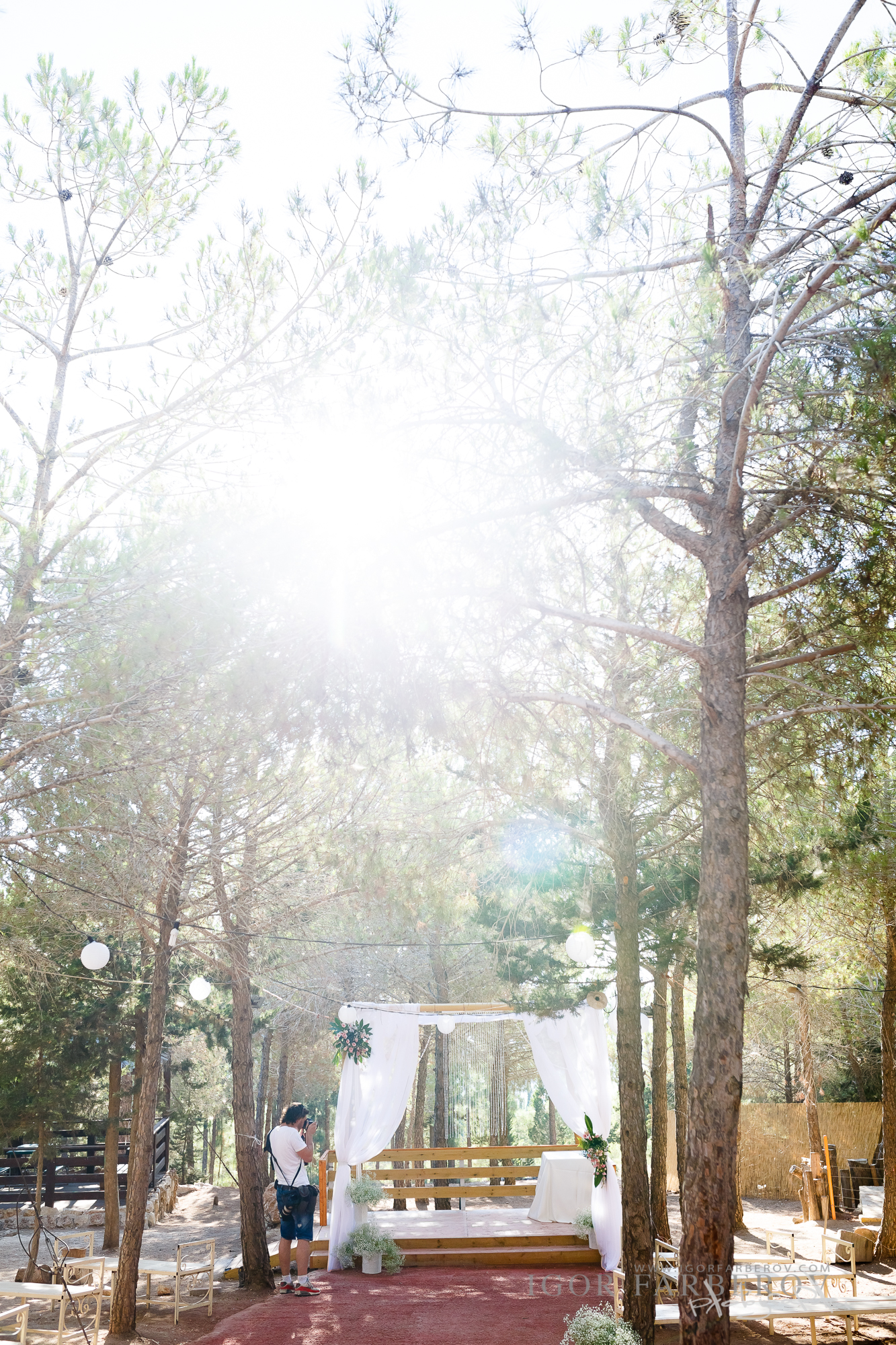 Es&BeWed-244.jpg