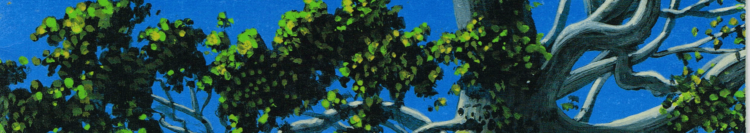 what-cropped-2.png