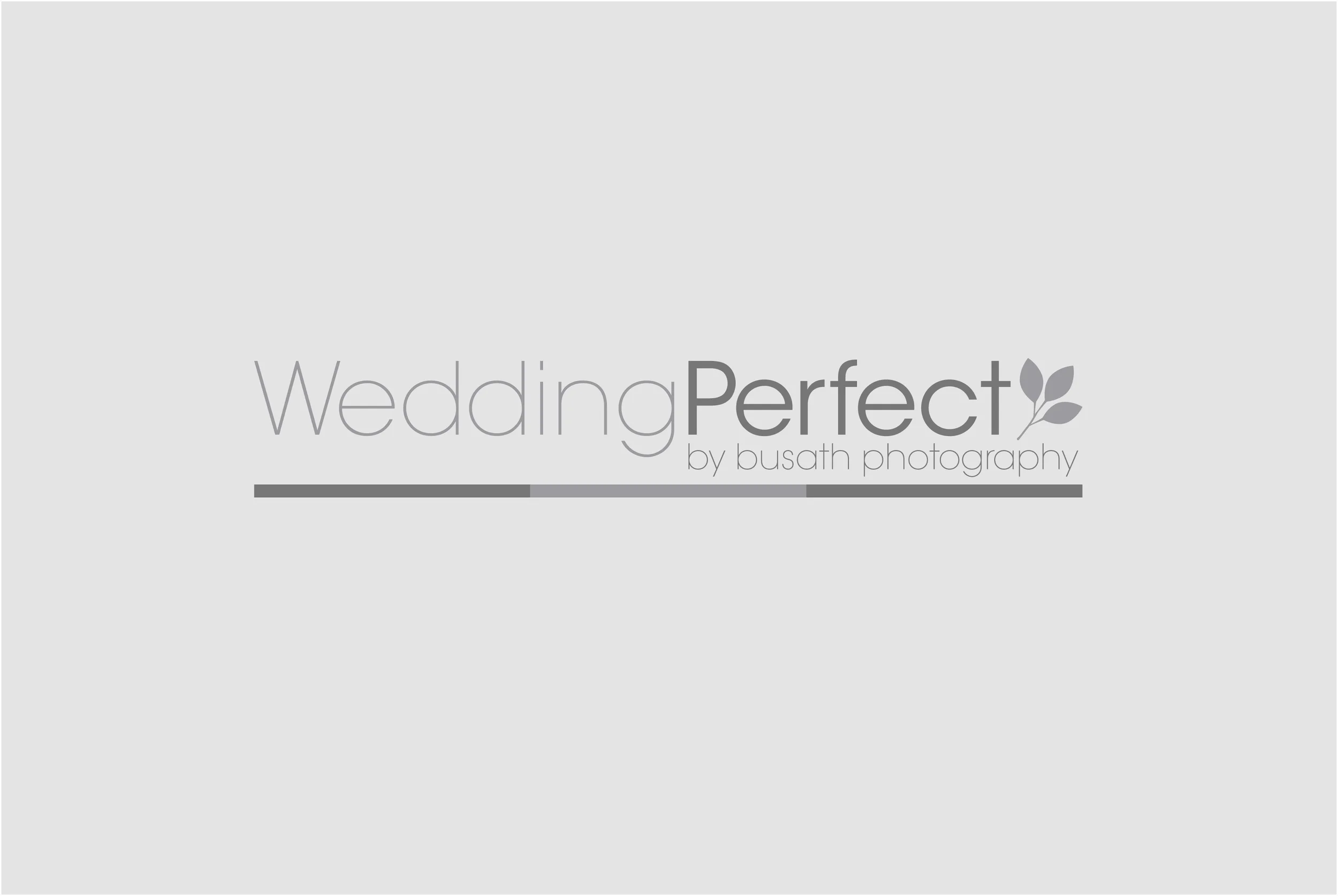 Wedding Perfect - Wedding photography