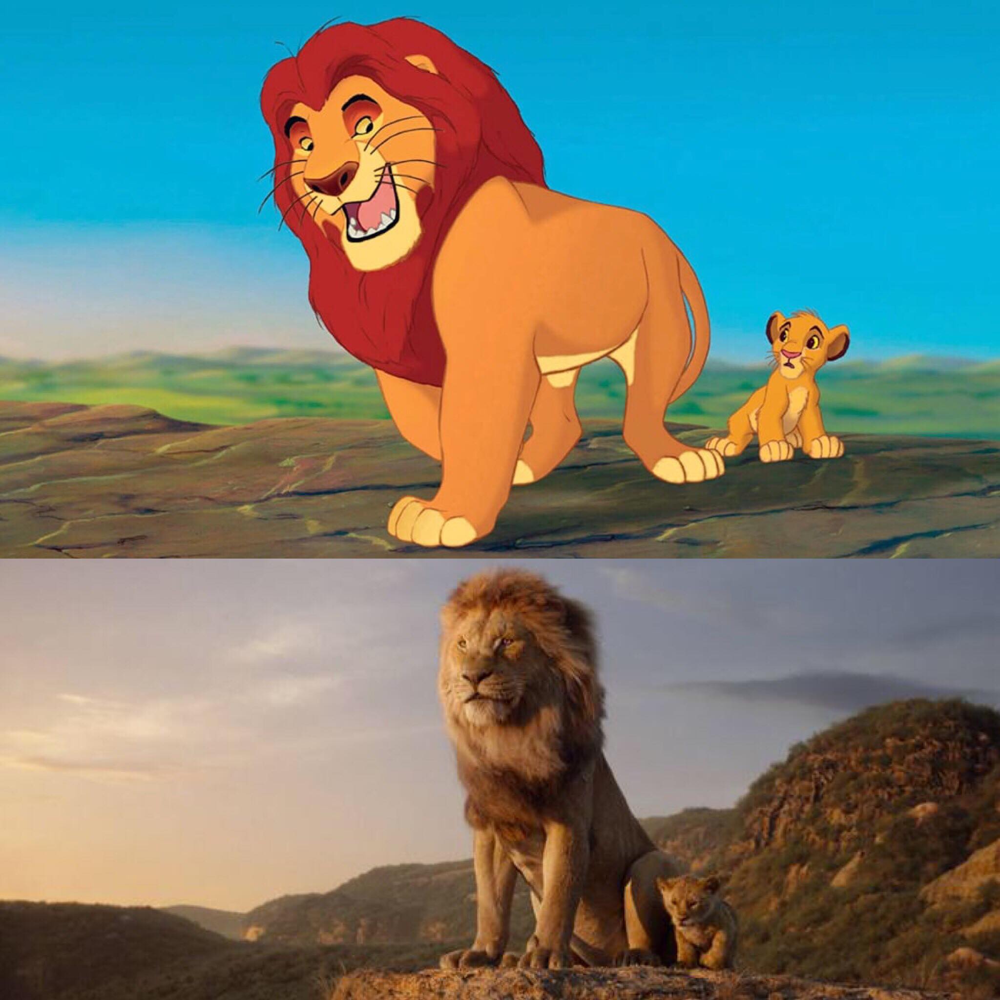 Дни льва в марте 2024. Король Лев й1994. Король Лев 2019 Симба. Король Лев 1994 Симба. Король Лев 1994 и 2019.