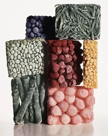 Irving Penn Frozen Foods, 1977 23.125 x 14.125 inches dye transfer print