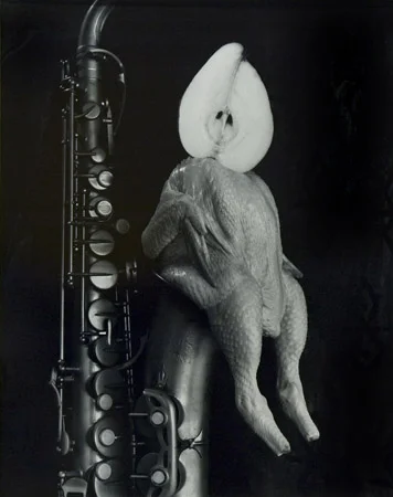 Michiko Kon Chicken, Pear and Saxophone, 1996 24 x 20 inches silver print
