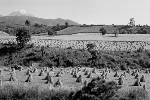 Near Ixtapaluca, Estado de México, 2008 16 x 20 inches edition of 25 silver print