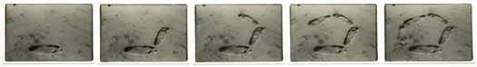 Michel Szulc-Krzyzanowski Baja, California (3 February 1982) sequence of five 3.5 x 5 inch vintage silver prints