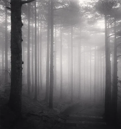 Michael Kenna Huangshan Mountains, Study 26, Anhui, 2009 8 x 7.75 inches edition of 45 toned silver print
