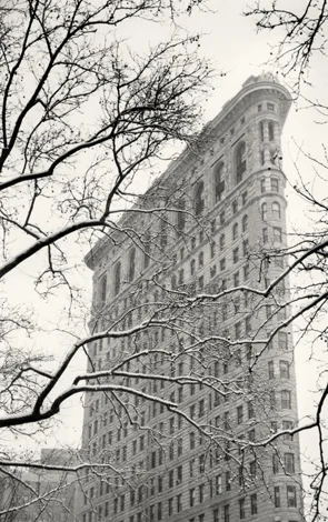 Flatiron Building, Study 2, New York, 2003 9.5 x 6 inches edition of 45 toned silver print