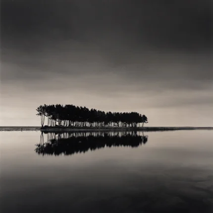 Pine Trees, Wolcheon, Gangwando, South Korea, 2007 7.75 x 8.25 inches edition of 45 toned silver print