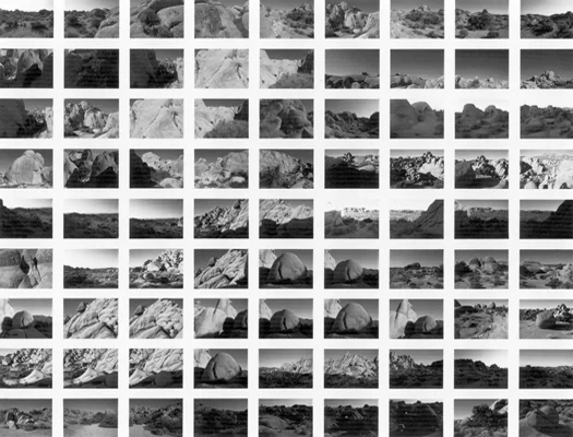 SV056-82 Near Live Oak II, 1982 from the series Sequential Views 20 x 24 inches vintage silver print