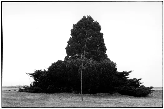 MD74291-18, 1974 from the series Midwest Diary 11 x 14 inches vintage silver print