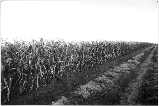 MD447-33, 1974 from the series Midwest Diary 11 x 14 inches vintage silver print