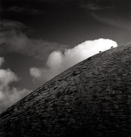 Seven Horses, Iti Maunga, Easter Island, 2001 7.5 x 7.75 inches edition of 45 toned silver print