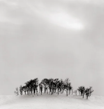 Afternoon Light, Shibecha, Hokkaido, Japan, 2004 8 x 7.5 inches edition of 45 toned silver print