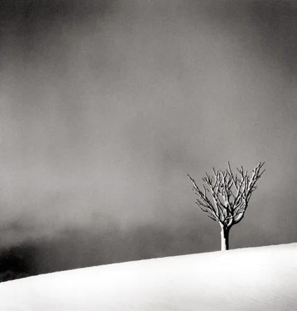 Snowfall, Numakawa, Hokkaido, Japan, 2004 8 x 7.5 inches edition of 45 toned silver print