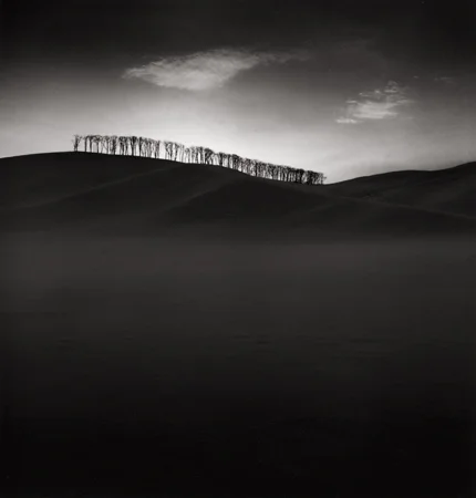 Hilltop Trees, Study #2, Teshikaga, Hokkaido, Japan, 2004 8 x 7.75 inches edition of 45 toned silver print