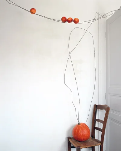 Les Zozios, Marron, 2004 24 x 20 inches edition of 20 chromogenic dye coupler print