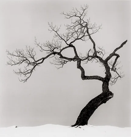 Michael Kenna