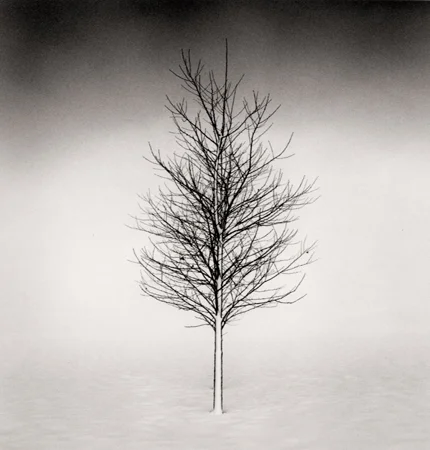 Michael Kenna
