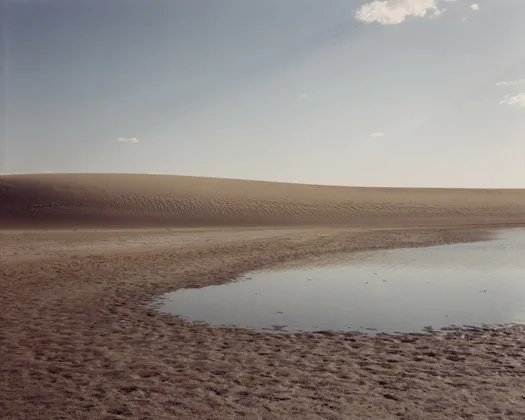 Richard Misrach