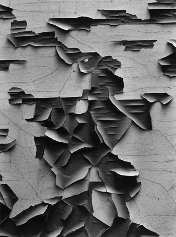 Aaron Siskind
